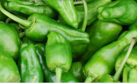 Famous Spanish Heirloom Padron Pepper. 10 seeds, hot chilli vegetables - £8.06 GBP
