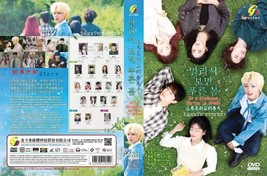 DRAMMA COREANO~At A Distance,Spring Is Green(1-12End)Sottotitoli in inglese... - £25.57 GBP