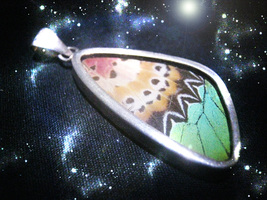 Free butterfly wing pendant thumb200