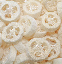 100% Natural Loofah Slices for Soap Making 20 Pack - Luffa Slices Cuts - Loof... - £19.97 GBP