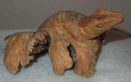 Sea Turtle ~  Hand Carved Parasitic Mushroom Wood Sculpture - $32.00