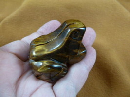 (Y-FRO-751) little Tiger&#39;s eye FROG frogs gem stone gemstone CARVING fig... - £13.78 GBP