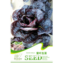 BELLFARM 6 Types Of Lettuce Purple Red Green Vegetables Seeds, Original Package  - £3.18 GBP