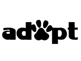 Adopt a Pet Cat Dog Vinyl Decal Car Sticker free shipping choose size color - £2.22 GBP+