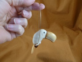 (TNE-BIR-TO-17c) baby Toucan bird birds swing TAGUA NUT nuts figurine to... - £23.35 GBP