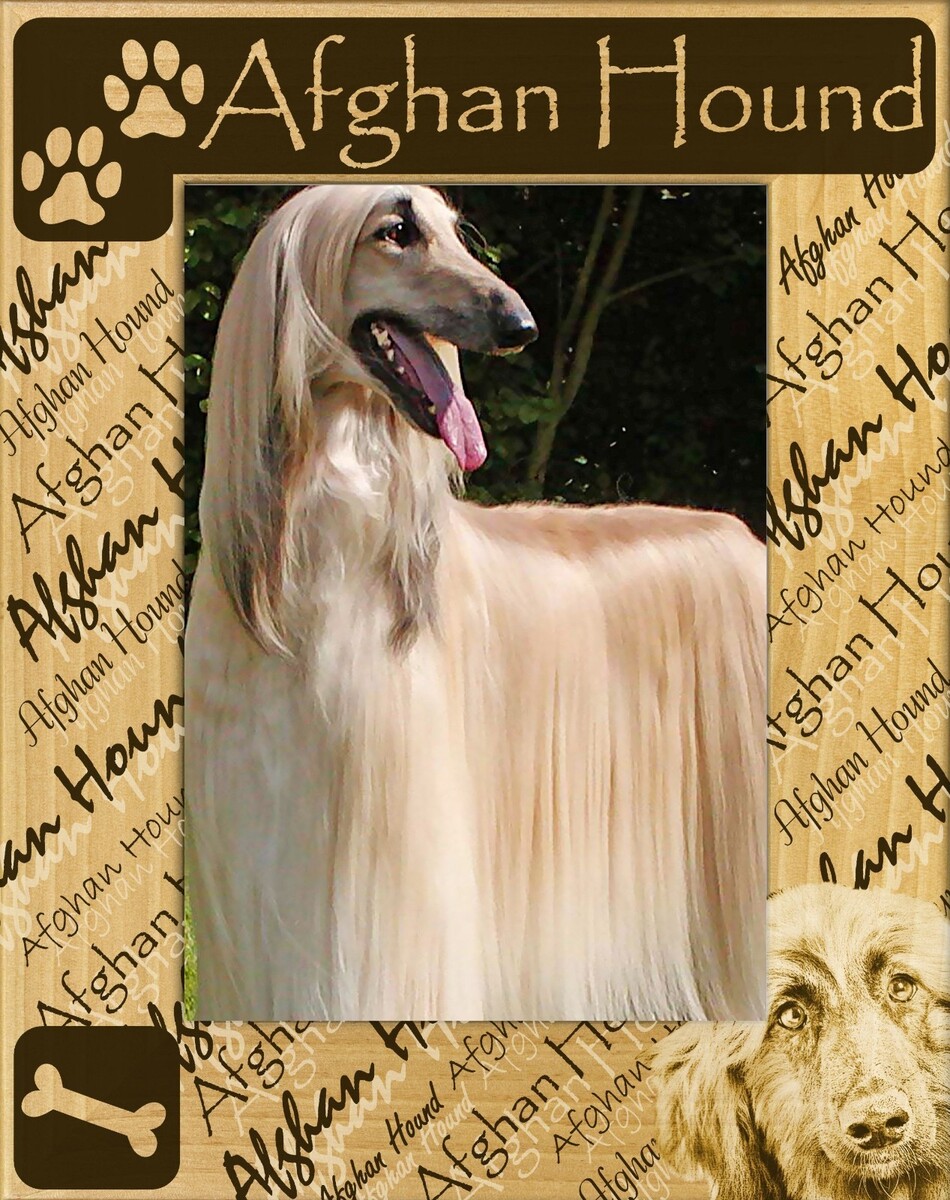 Afghan Hound Laser Engraved Wood Picture Frame Portrait (3 x 5) - $25.99