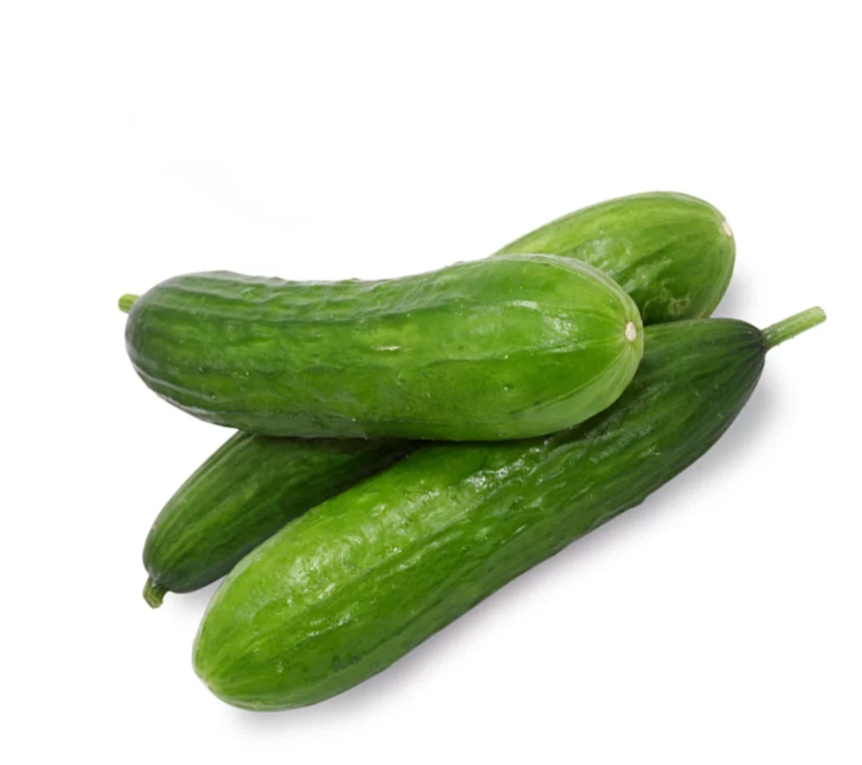 Beit Alpha Cucumber Seeds, Persian Cucumber, Burpless,  - $4.12