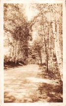 White Mountains New Hampshire Birch Road~Bromley Real Photo Postcard 1930s - £6.26 GBP