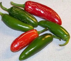 USA Non GMO Pepper Jalapeno Hot Pepper 100 Seeds - £6.33 GBP