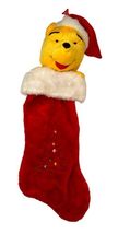 Vintage Disney Winnie The Pooh 3D Plush Christmas Stocking Santa Hat 23&quot;... - $361.21 MXN