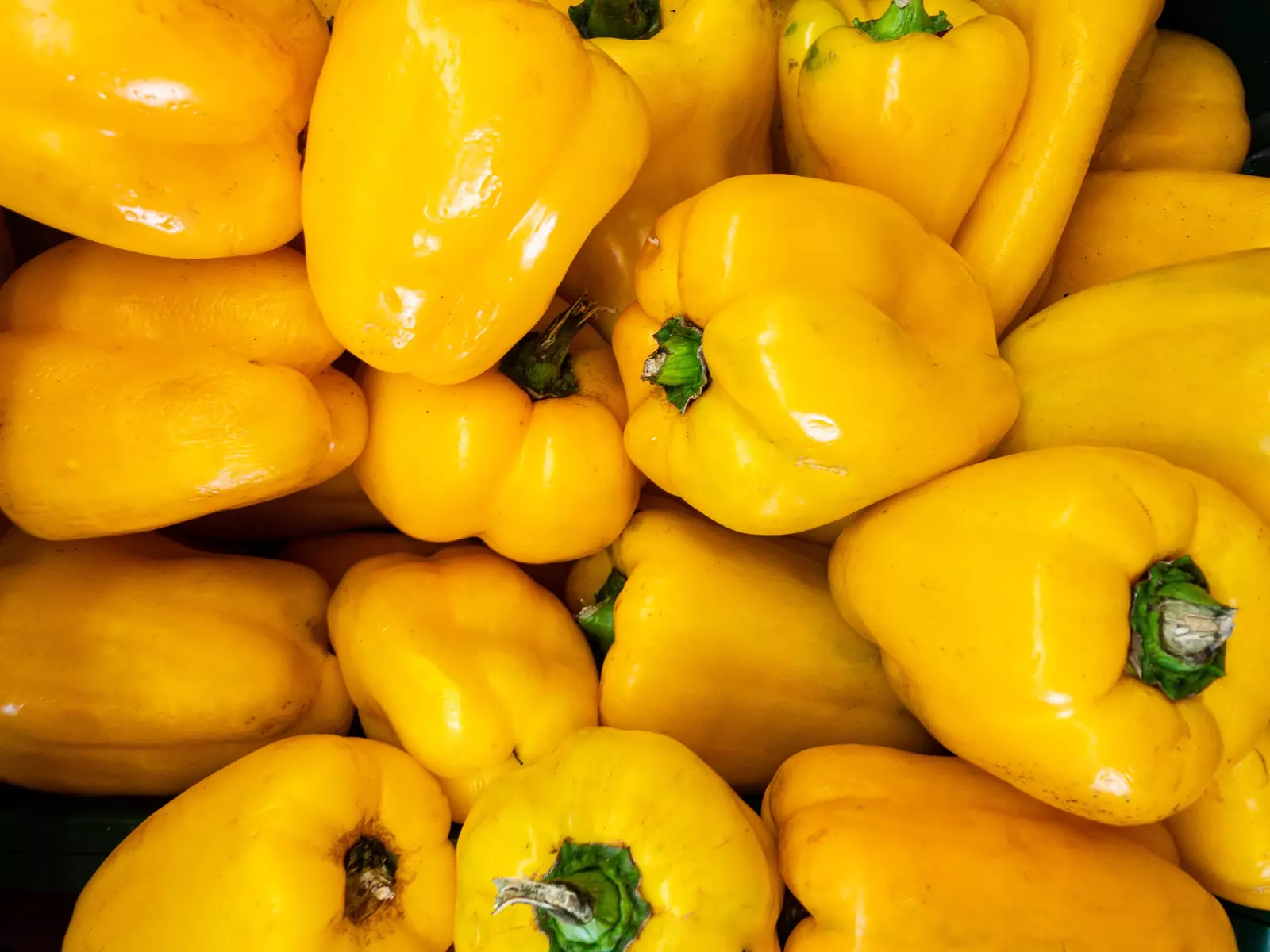 Fresh New 50 Yellow Cheese Pimento Pepper Capsicum Annuum Vegetable Seeds - £10.97 GBP