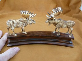 (moose-17) Dueling Moose Elk bulls of shed ANTLER figurine Bali detailed... - £117.99 GBP