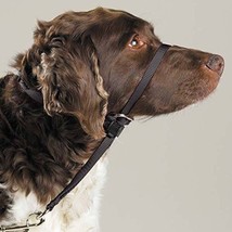 Gentle Leader Dog Training Headcollars Safely Teach Your Pup to Walk Straight(Me - £31.18 GBP