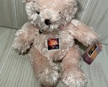 USPS Love Bear pink beanbag teddy bear heart charm plush flower stamp 20... - $4.45