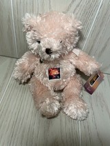USPS Love Bear pink beanbag teddy bear heart charm plush flower stamp 20... - £3.51 GBP