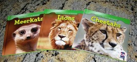 Animals That Live in the Grasslands: Cheetahs, Lions, Meerkats HC Grades... - $19.95