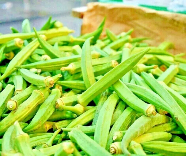 300 Seeds Okra Clemson Garden Vegetable Heirloom All-American Winner - £13.24 GBP