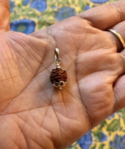 Lab Certified 925 Silver + 5 Mukhi RUDRAKSHA Panchmukhi Rudraksh 5 Face Pendant Item image 5