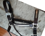 Circle Y Silver Show Halter Horse Size Dark Oil USED - £103.01 GBP