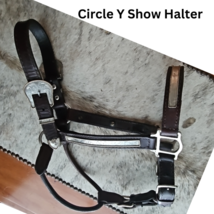 Circle Y Silver Show Halter Horse Size Dark Oil USED - £101.63 GBP