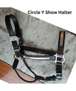 Circle Y Silver Show Halter Horse Size Dark Oil USED - £102.80 GBP