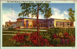 Vtg Postcard The Field Museum of National History, Grant Park, Chicago , PM 1951 - £5.03 GBP