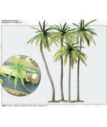 Preiser 18600 Ho Scale 4 Palm Trees Kit Model Scenes - $31.07 CAD