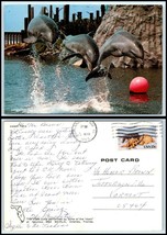 FLORIDA Postcard - Orlando, Sea World, Triple Jump Dolphins CS - £2.32 GBP