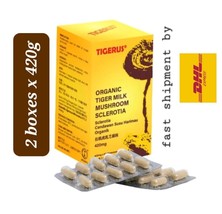 ORGANIC TIGERUS Tiger Milk Mushroom Sclerotia 2 boxes x420g- shipment by... - £148.68 GBP