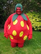 Strawberry Mascot style Costume - $153.99