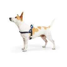 YOULY The Trailblazer Blue Wipeable Dog Harness, X-Large - $37.39