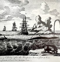 Harpooned Whale Towing Ships 1926 Nautical Antique Print Whale Hunting D... - $35.14 CAD