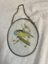 Vintage Eurasian Blue Tit Bird Suncatcher - $9.65