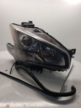 Passenger Headlight Xenon HID Clear Lens Fits 09-14 MAXIMA 1131924SAME D... - $245.29