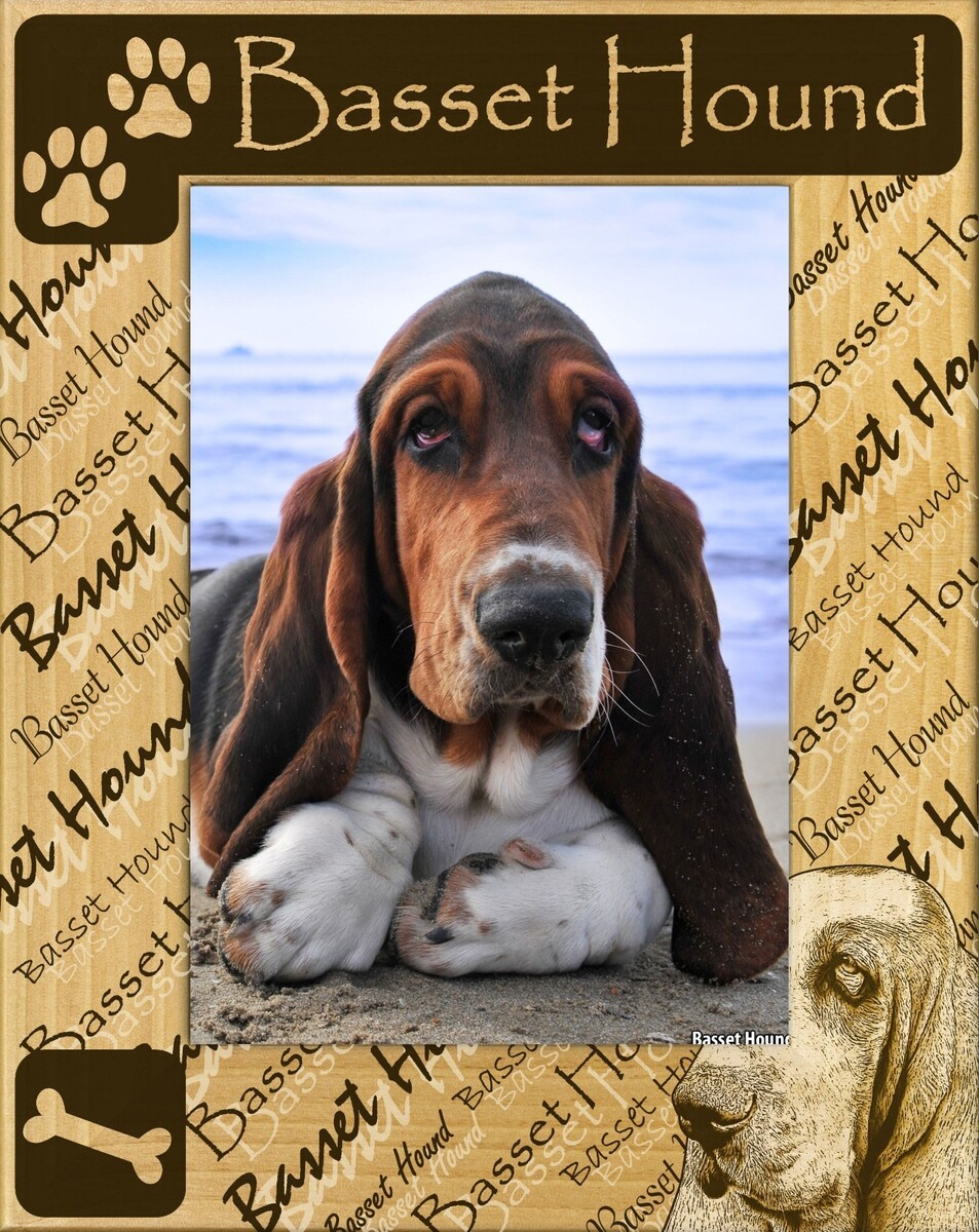 Basset Hound Laser Engraved Wood Picture Frame Portrait (3 x 5) - $25.99