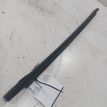 Ford Focus Door Glass Window Weather Strip Trim Rear Left Driver Back  2... - $32.94