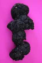 Giant Lizard Poop 5 Million Years Old Coprolite Genuine Fossil Dino Girl COA S34 - $570.01 MXN