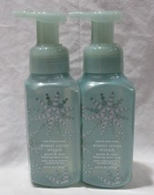 Bath &amp; Body Works Gentle &amp; Clean Foaming Hand Soap Set of 2 WINTER CITRU... - $23.33