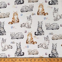 Cotton Cats Kittens Kitties Mice Animals White Fabric Print by the Yard D381.45 - £9.55 GBP