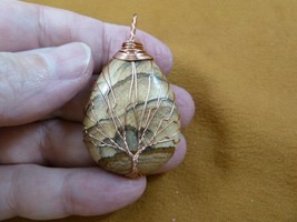 (j472-10) tan picture Jasper Tree of Life teardrop gemstone wire wrapped pendant - £18.17 GBP