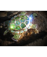 AMAZING haunted LOTTERY WINNING TURTLE BROOCH/PENDANT - £61.50 GBP