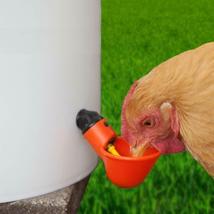 Automatic Chicken Water Cup Bird Coop - 5 Pcs - £15.96 GBP