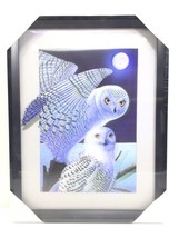 2 Snowy Owls 3D 3 Dimension Lenticular Picture With Plastic Frame New &amp; Sealed - £18.98 GBP