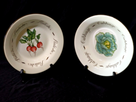 JOHNSON BROTHERS FRANCISCAN 10.25&quot; Theme Pasta Bowl VEGETABLE MEDLEY - P... - $32.38