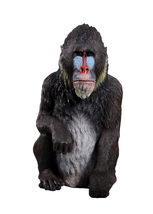 Mandrill Monkey Life Size Statue - £817.22 GBP