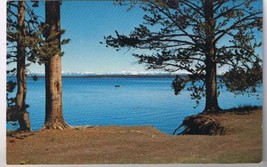 Wyoming Postcard Yellowstone Lake Yellowstone National Park - $2.05