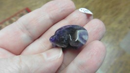 (y-cat-SL-506) Sleeping KITTY CAT cats gemstone purple Amethyst carving ... - $8.59