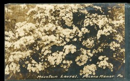Vintage Postcard RPPC Real Photo Mountain Laurel Pocono Manor Pennsylvania PA - £11.67 GBP