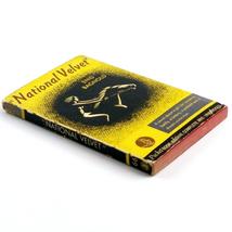 National Velvet Enid Bagnold Kids Vintage Paperback Book image 3