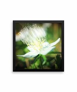 Framed Art Flower Poster - Ready To Hang Picture - Wall Decor - $54.65 CAD